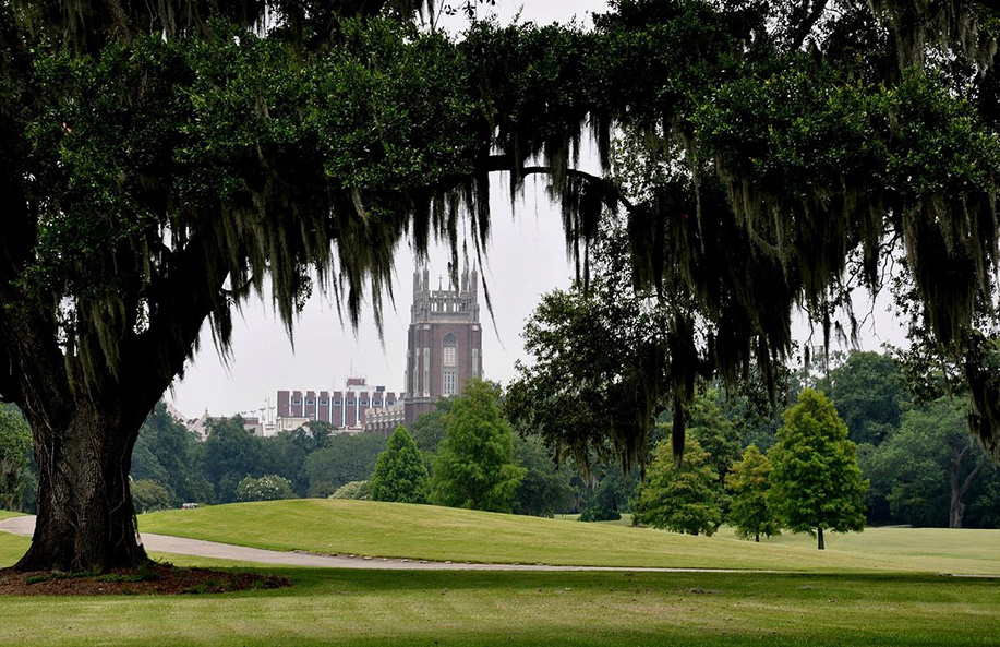 Exploring Natural Beauty: Parks and Green Spaces in New Orleans