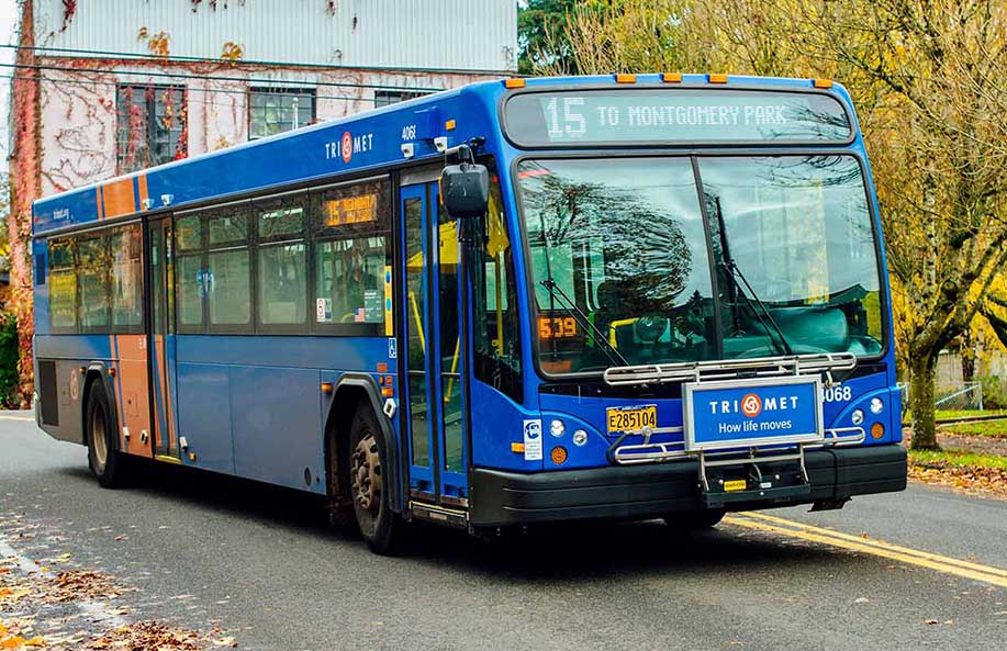 Getting Around Hamilton, New Zealand: A Complete Transportation Guide