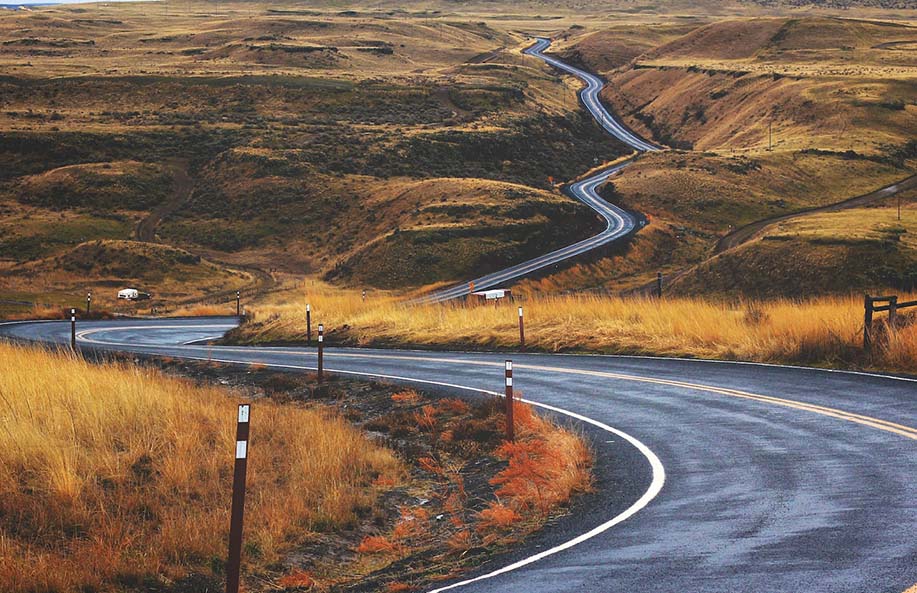Safe Roads to Hamilton: New Zealand Highway Driving Tips for a Smooth Journey